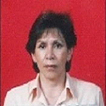 Lic. Elfride Balanza Erquicia