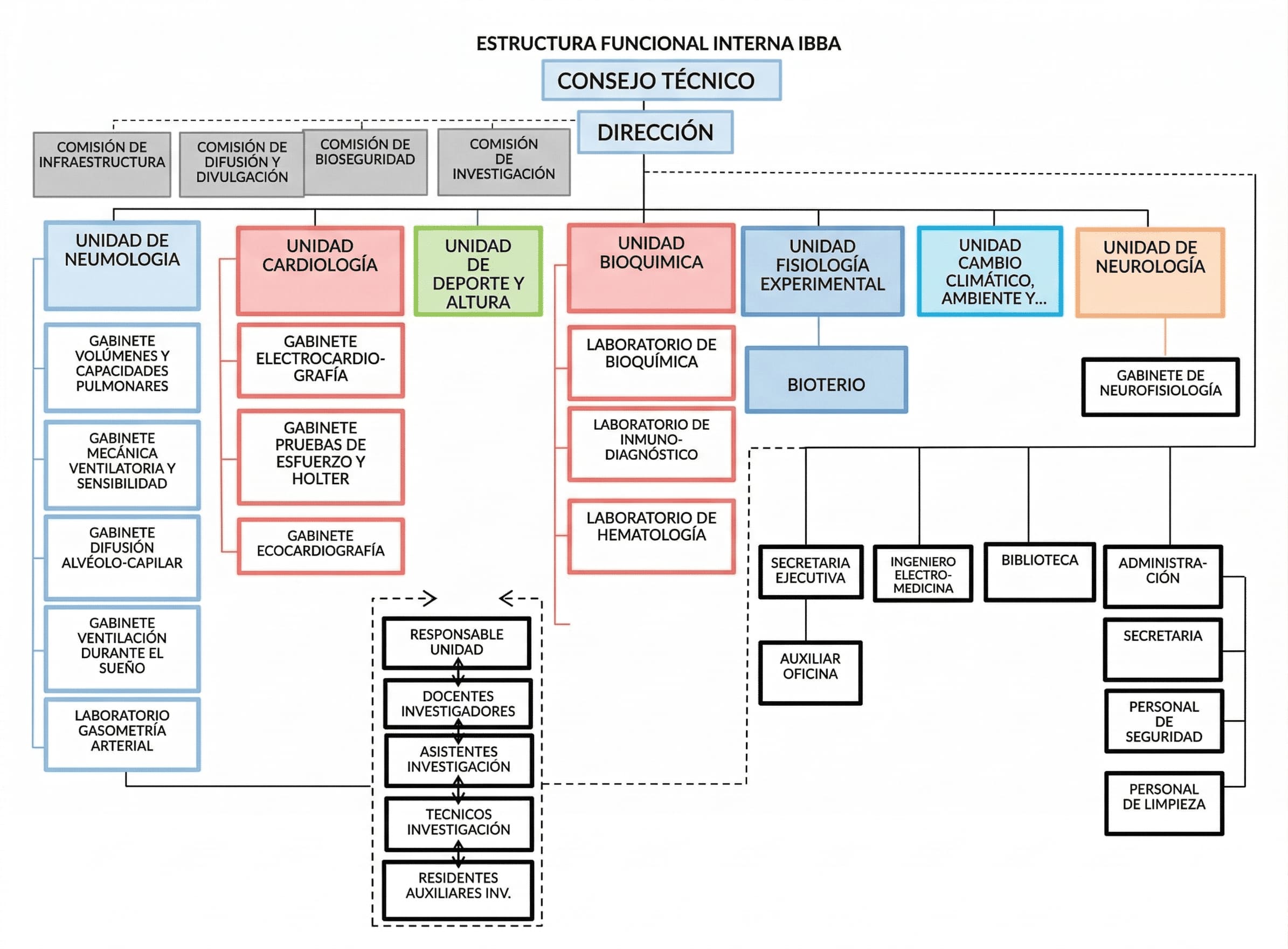 Estructura Orgánica Funcional del IBBA