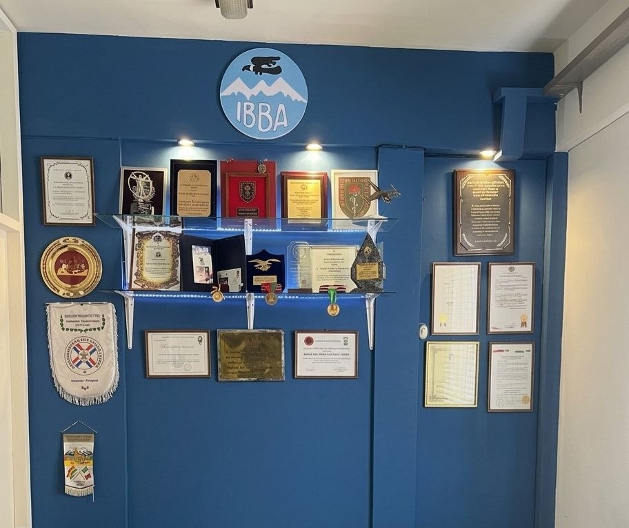 Líneas de Investigación IBBA