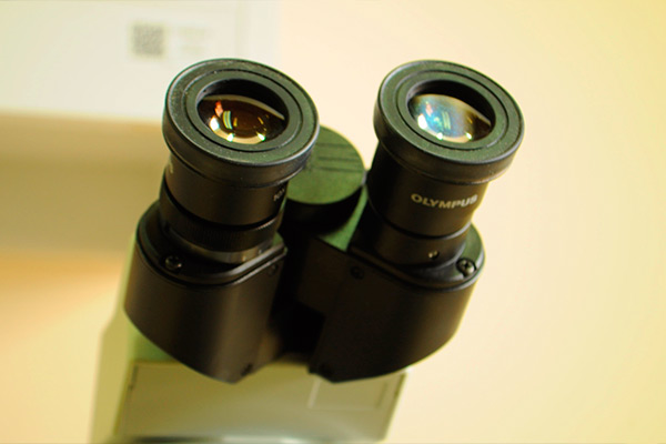 Laboratorio de Bioquímica