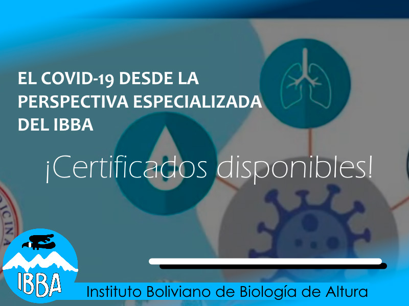 Afiche