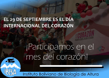 Afiche
